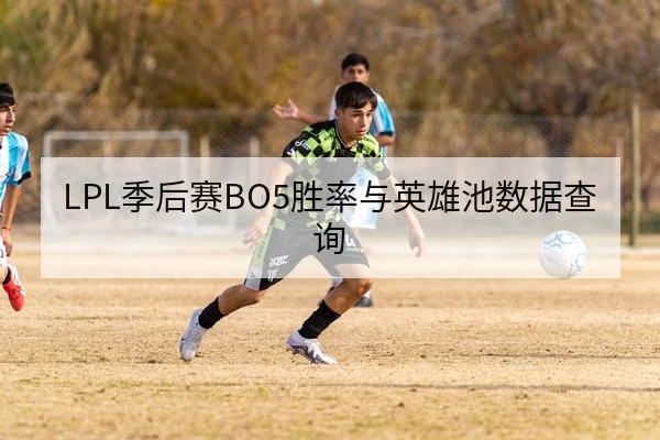 LPL季后赛BO5胜率与英雄池数据查询